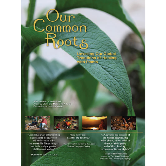 Our Common Roots DVD
